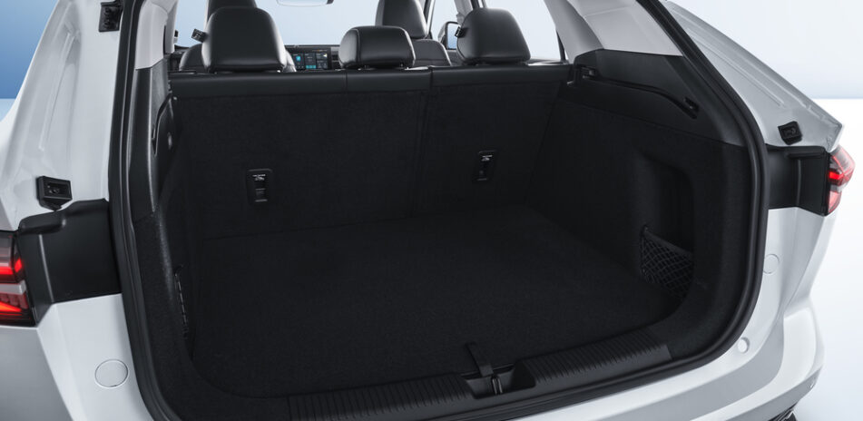 Trunk-4